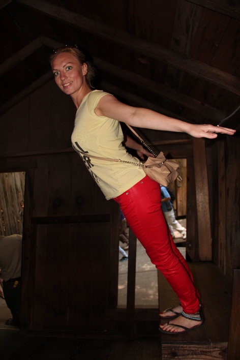 ������� ����